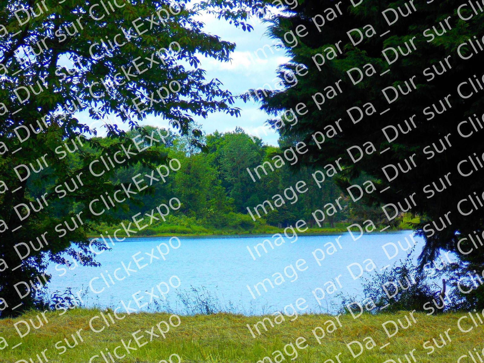 Etang de Baye